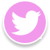 A link to the Games Y'all twitter